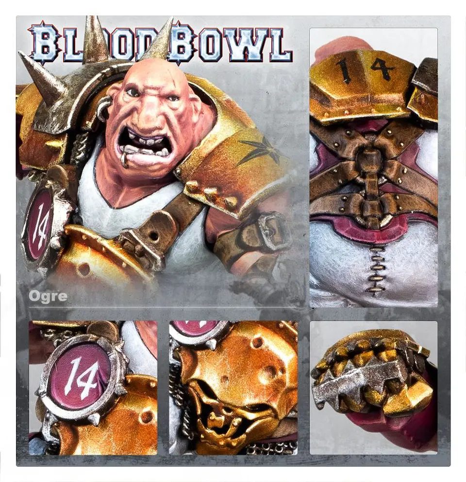 Blood Bowl: Ogre  4