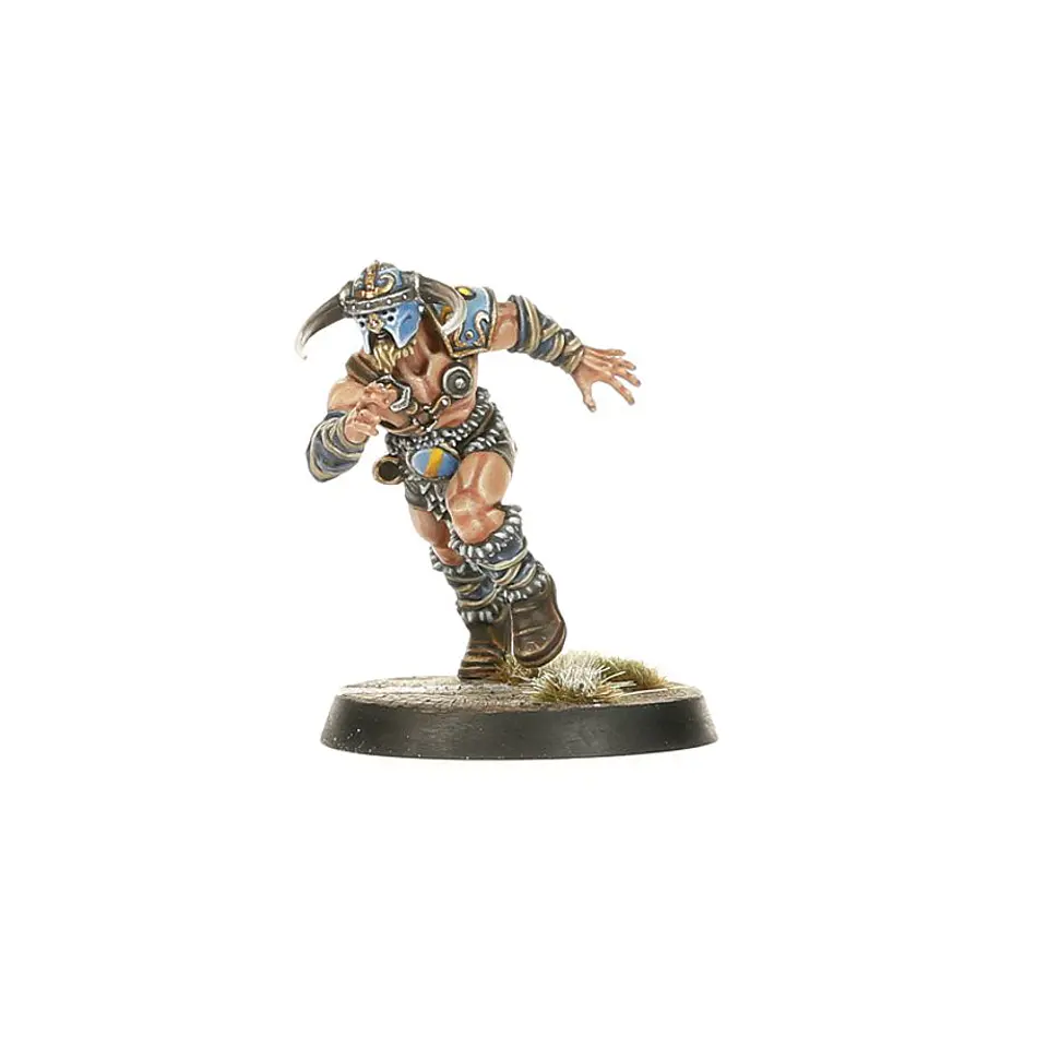 Blood Bowl: Norse Team  4
