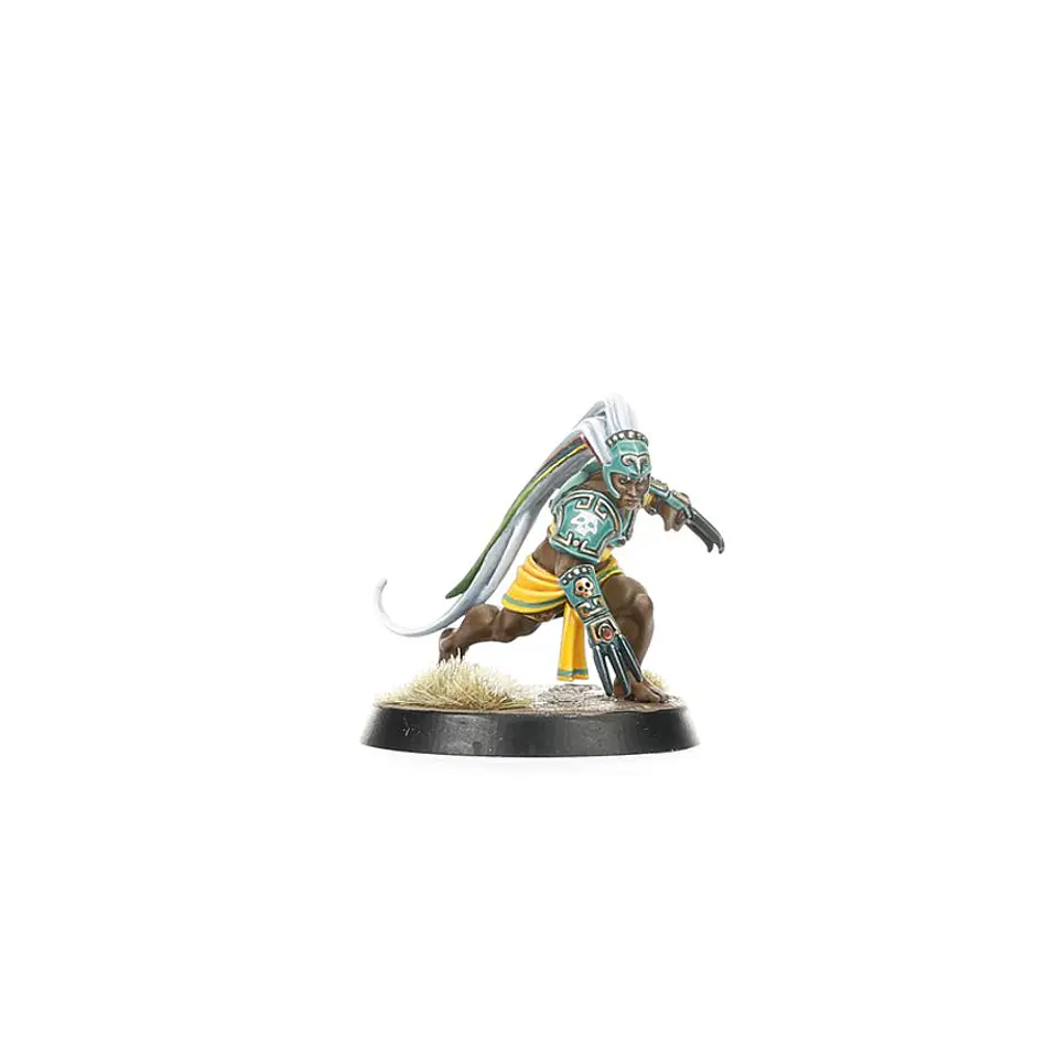 Blood Bowl: Amazon Team  3