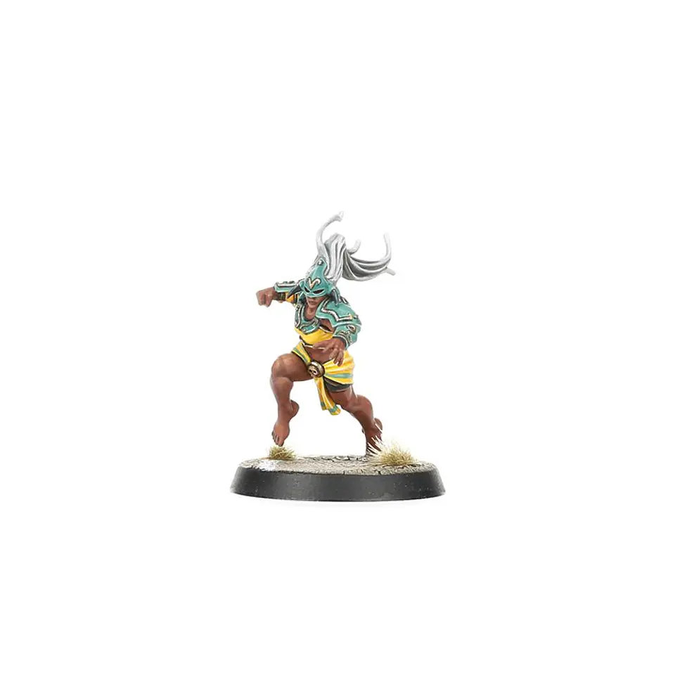 Blood Bowl: Amazon Team  7