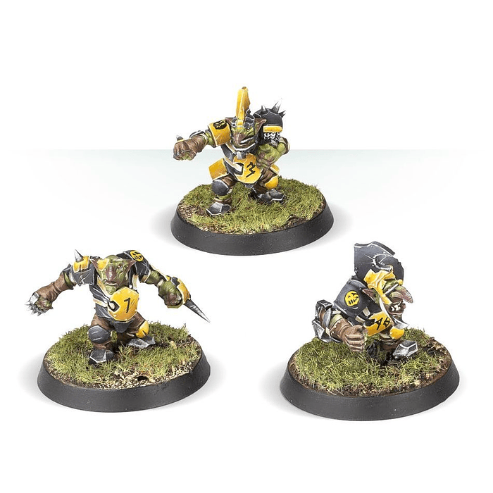 Blood Bowl: Goblin Team  9