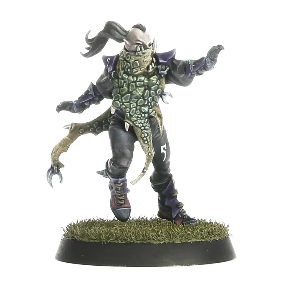 Blood Bowl: Dark Elf Team  4