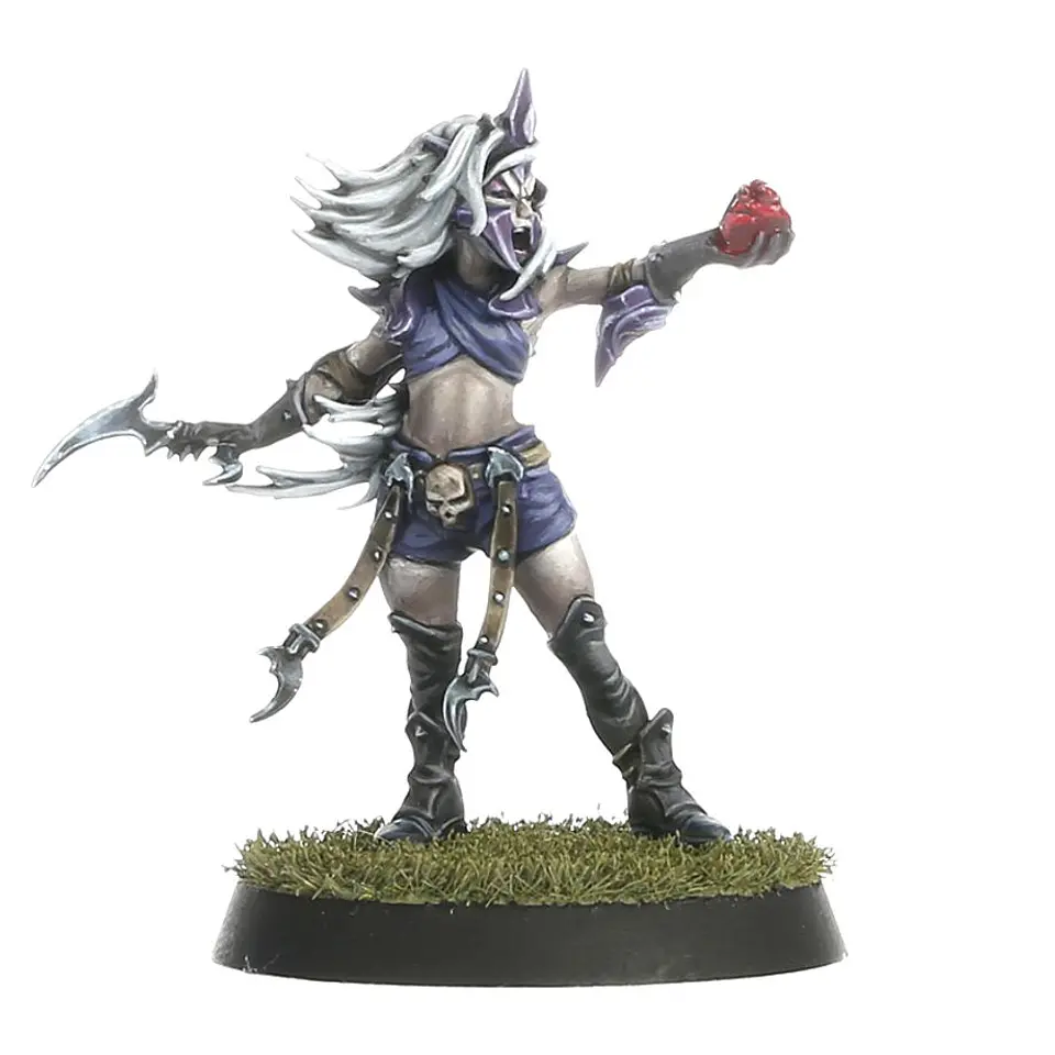 Blood Bowl: Dark Elf Team  5