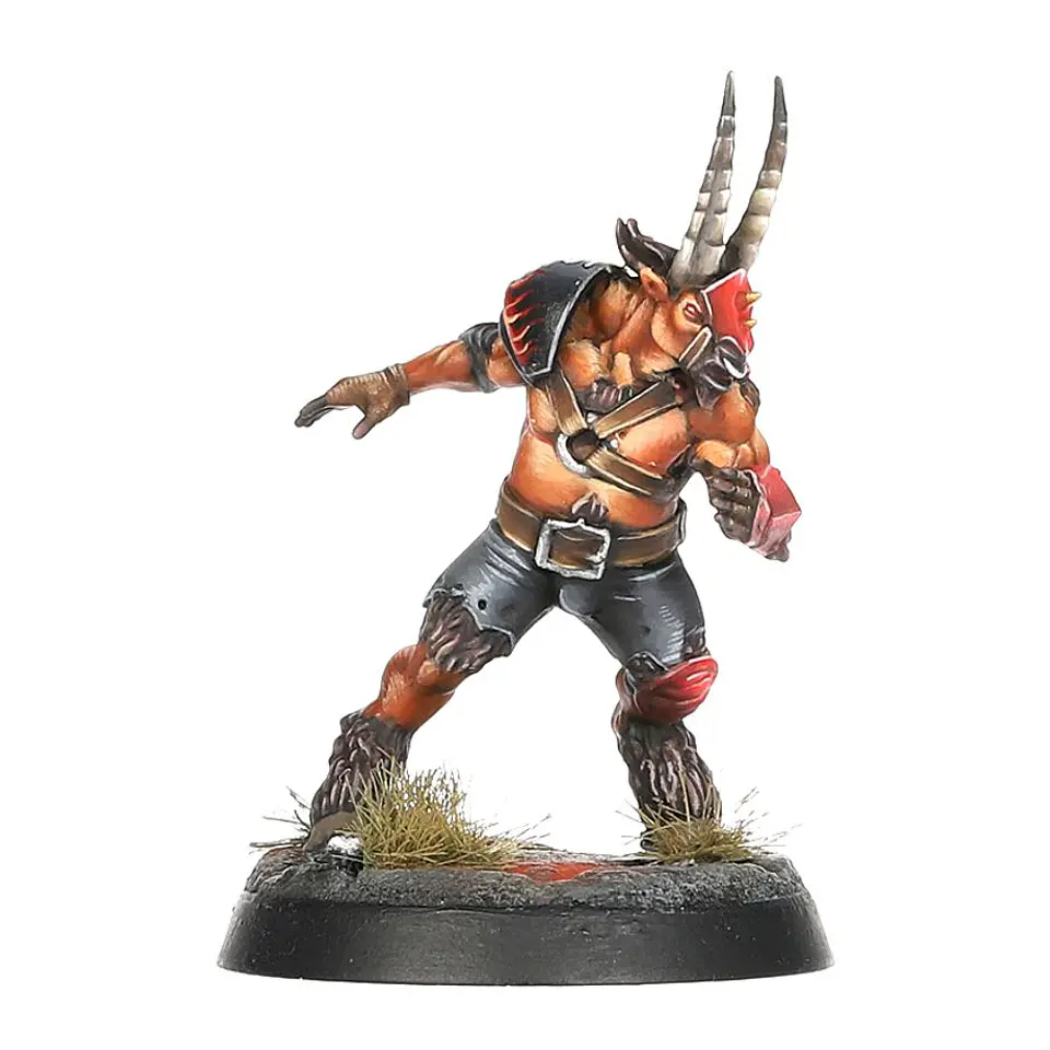 Blood Bowl: Chaos Chosen Team  4