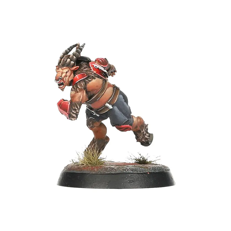 Blood Bowl: Chaos Chosen Team  6