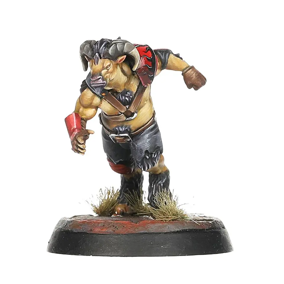 Blood Bowl: Chaos Chosen Team  7