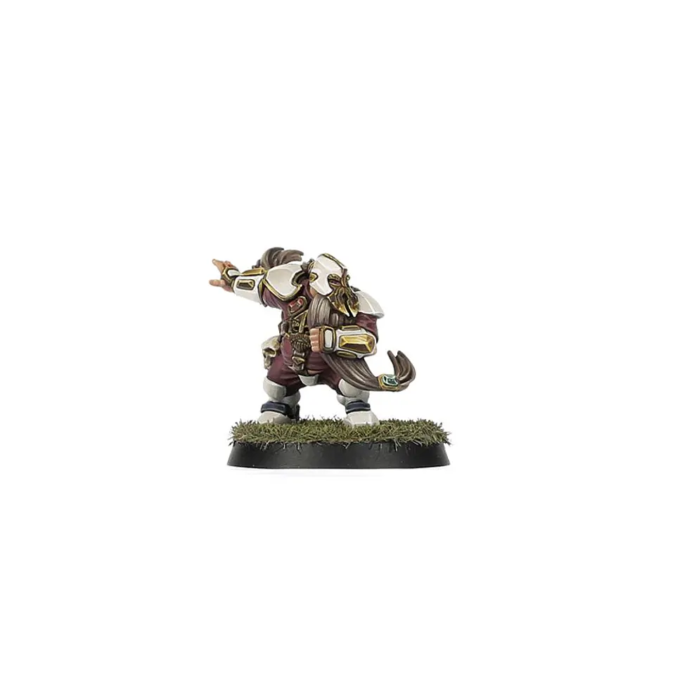 Blood Bowl: Old World Alliance Team  8