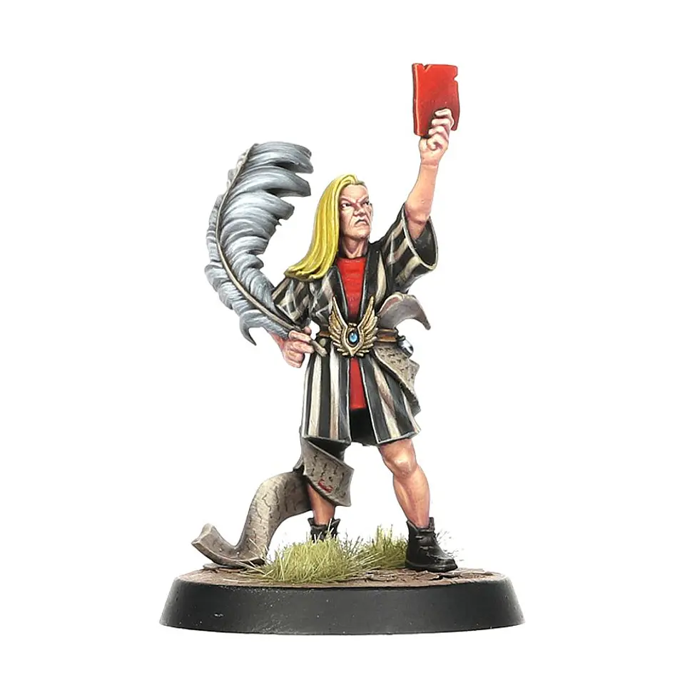 Blood Bowl: Elf and Dwarf Biased Referees  3