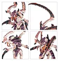 Tyranids: Von Ryan's Leapers  - Thumbnail 3