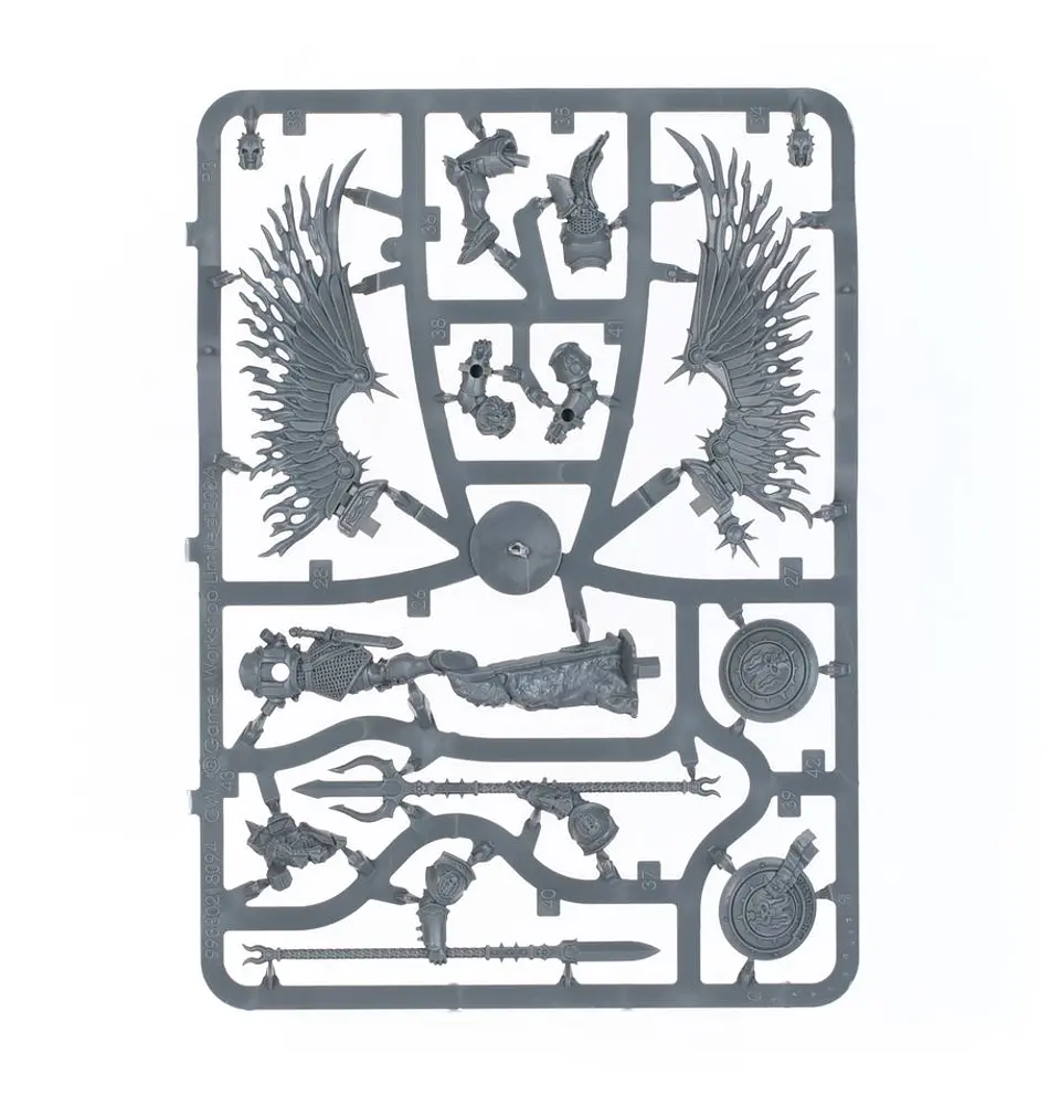 Age of Sigmar: Set de Inicio Definitivo  11