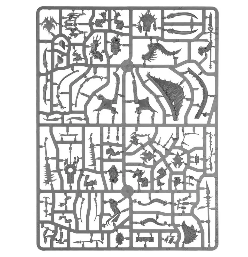 Seraphon: Spearhead  12