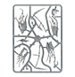 Nighthaunt: Separhead  - Miniatura 8