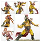 Blood Bowl: Wood Elf Team  - thumbnail 4