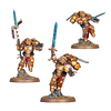 Blood Angels: Sanguinary Guard  2