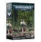 Blood Angels: Sanguinary Priest  - Thumbnail 1