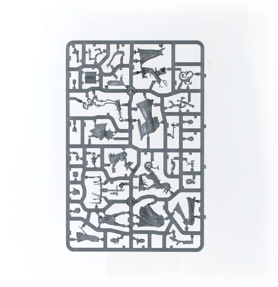Citis of Sigmar Battleforce: Founding Foray  15