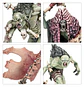 Flesh-Eater Courts: Charnelgrand Jury - Battleforce  - Thumbnail 7