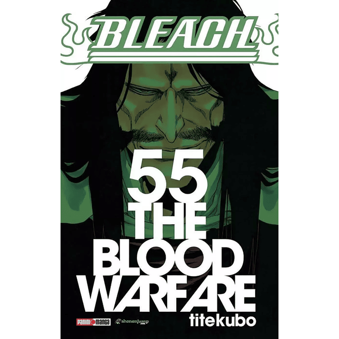 Bleach Vol.55 (Panini) 