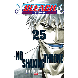 Bleach Vol.25 (Panini) 