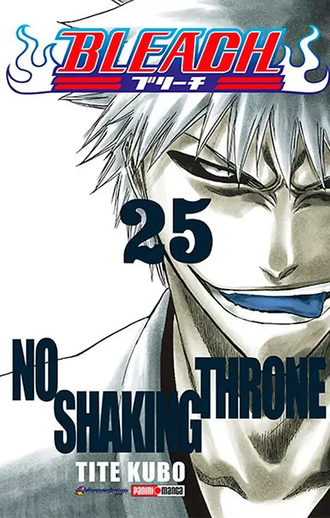 Bleach Vol.25 (Panini) 