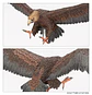 The Lord of the Rings: Great Eagles  - Miniatura 8