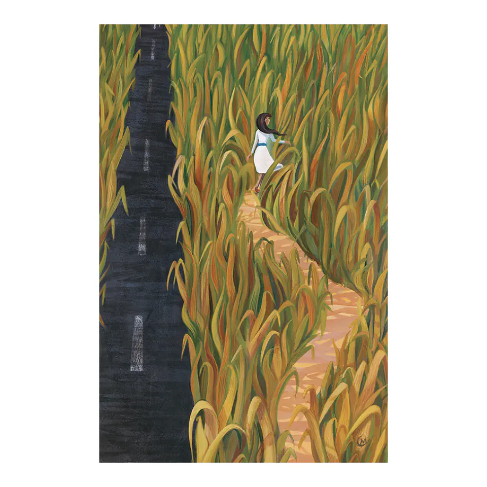 Puzzle Dixit 500 piezas: Detours  3