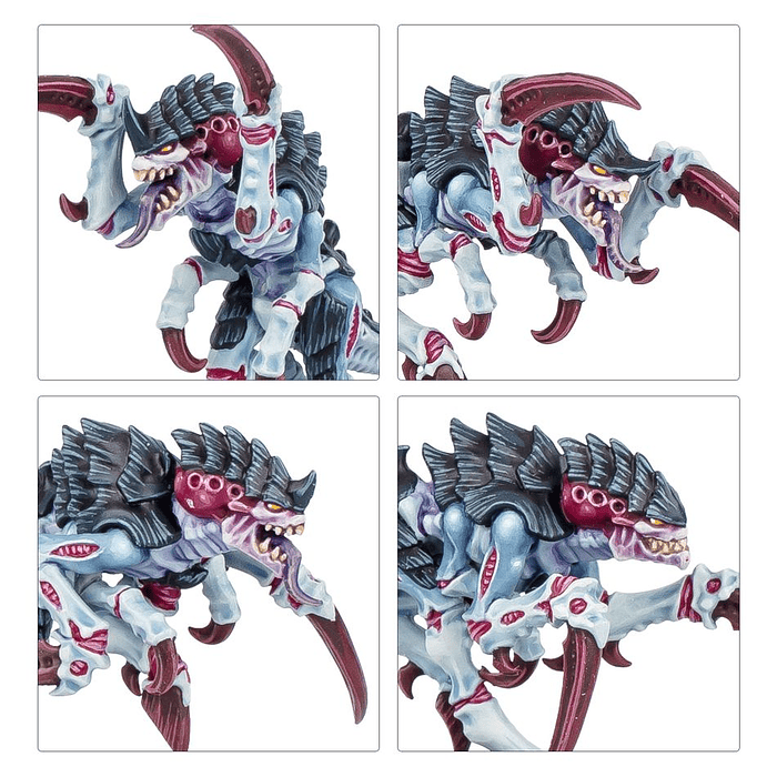 Kill Team: Tifón  11