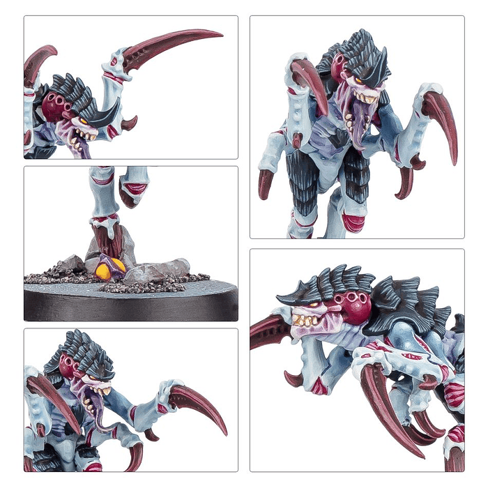 Kill Team: Tifón  12