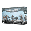 Space Wolves: Wolf Guard Headtakers  1