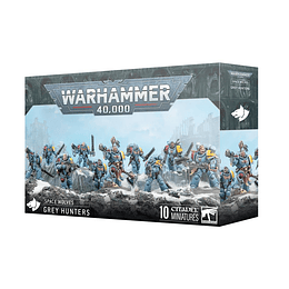 Space Wolves: Grey Hunters 