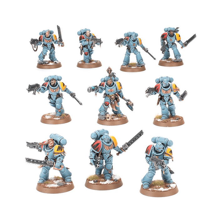 Space Wolves: Grey Hunters  2