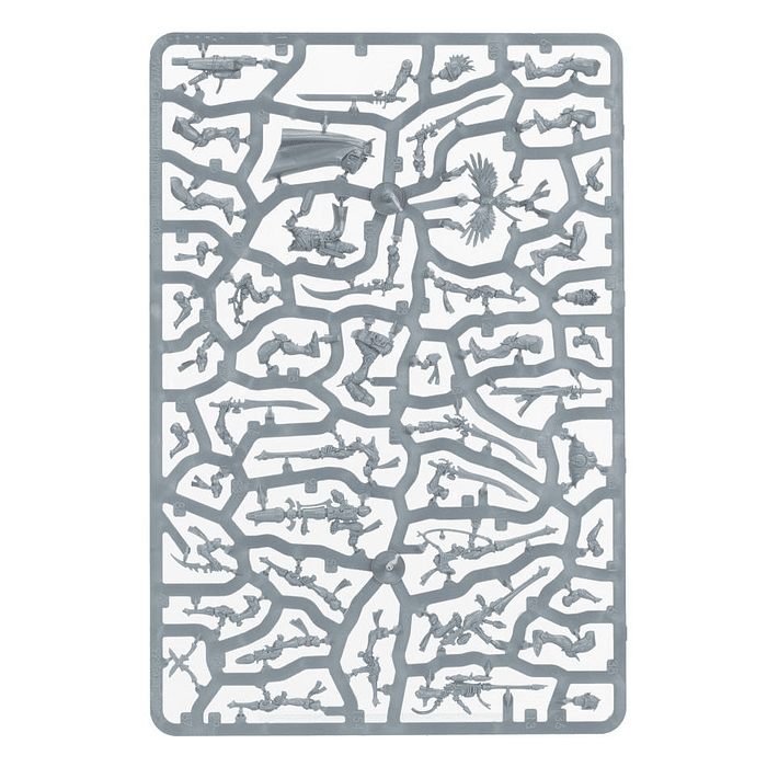 Kill Team: Corsair Voidscarred 8