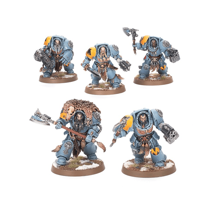 Combat Patrol: Space Wolves (2025)  4