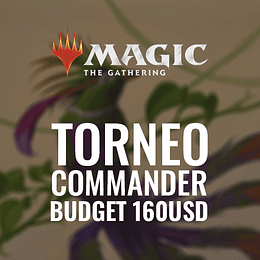 Torneo MTG: Budget 160usd