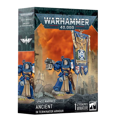 Space Marines: Ancient in Terminator Armor 