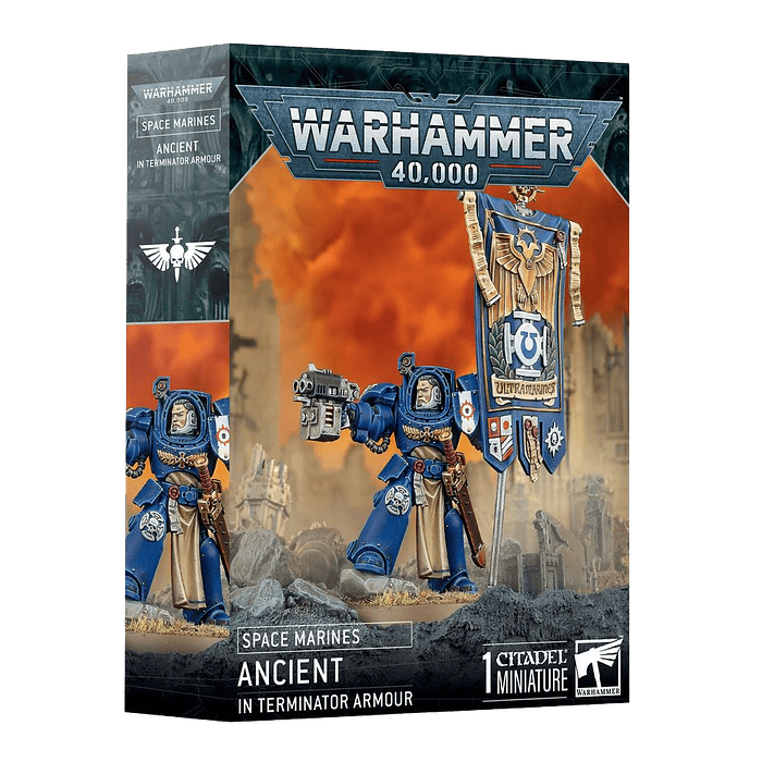Space Marines: Ancient in Terminator Armor  1