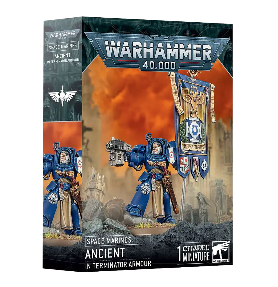 Space Marines: Ancient in Terminator Armor  1