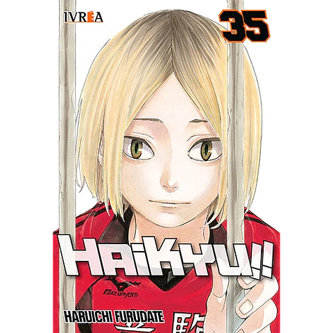 Haikyu!! Vol.35 