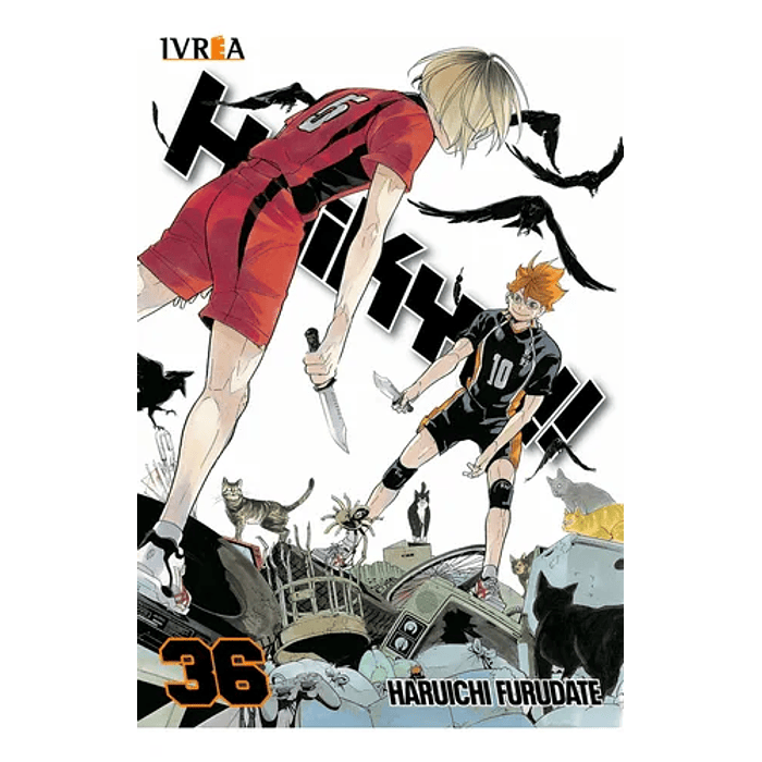 Haikyu!! Vol.36 