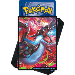 Protectores Mega‑Charizard X ex