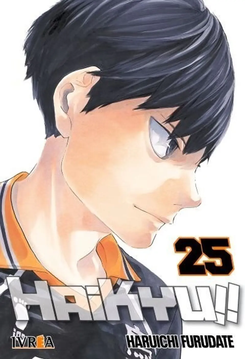 Haikyu!! Vol.25 1