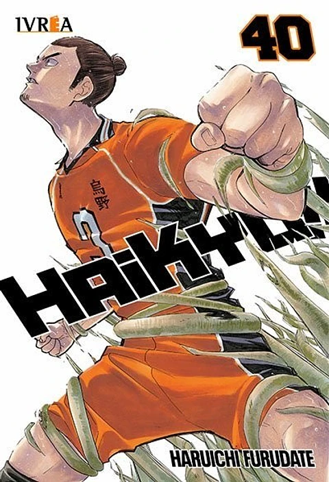 Haikyu!! Vol.40