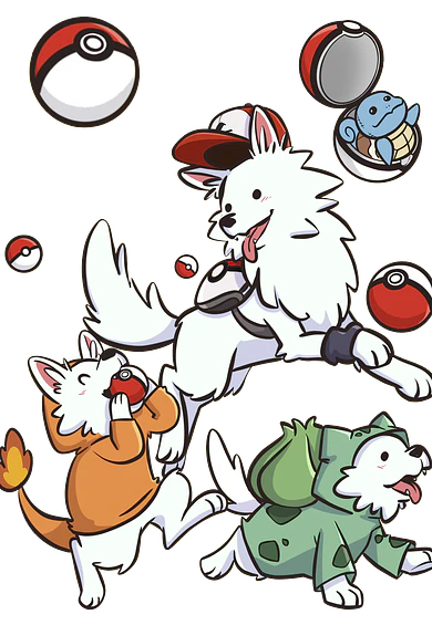 Pokemon