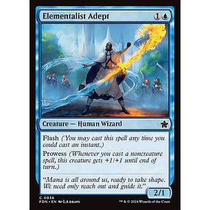 Elementalist Adept