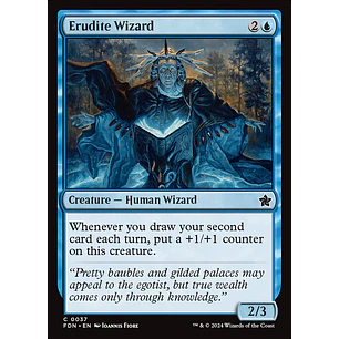 Erudite Wizard