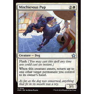 Mischievous Pup