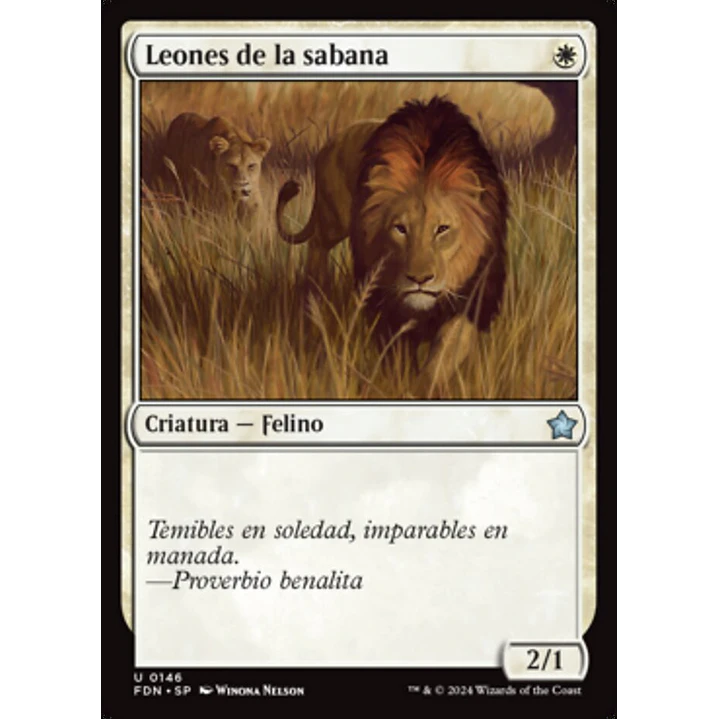 Savannah Lions 1