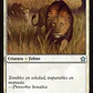 Savannah Lions - Miniatura 1