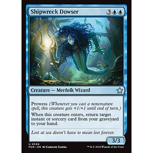 Shipwreck Dowser