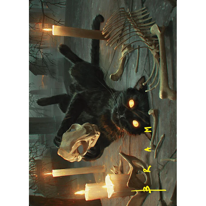 Nine-Lives Familiar // Nine-Lives Familiar - Art 2